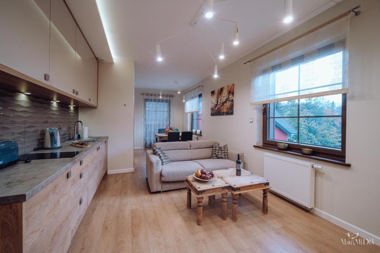 Dolina Wikingow Apartament Oye 13 스클라르스카포렘바 외부 사진